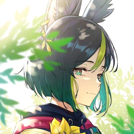 苹果树开果果咯～