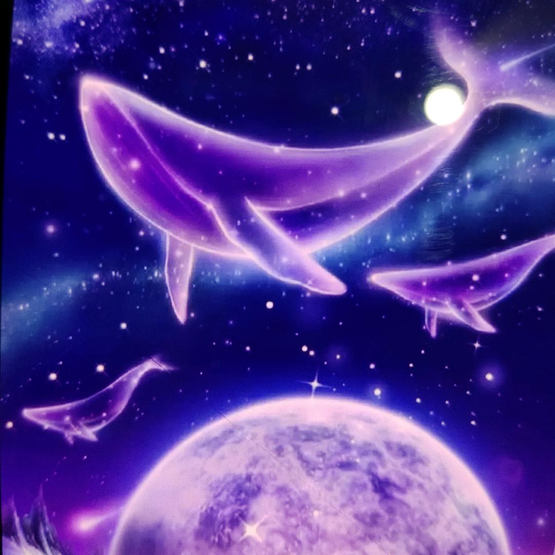 淤青