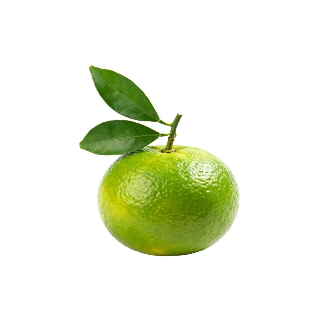 mzz