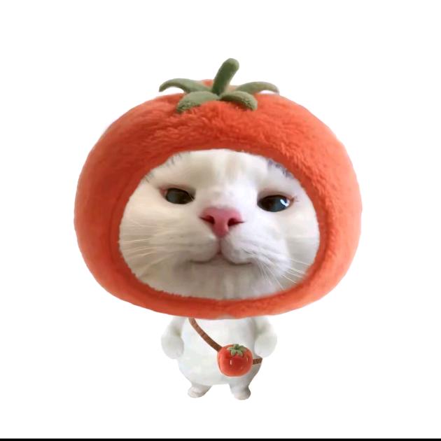 今晚打老虎.