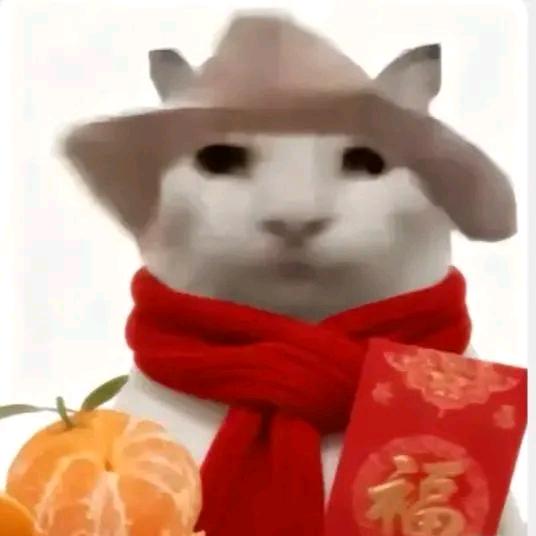 好好吃饭