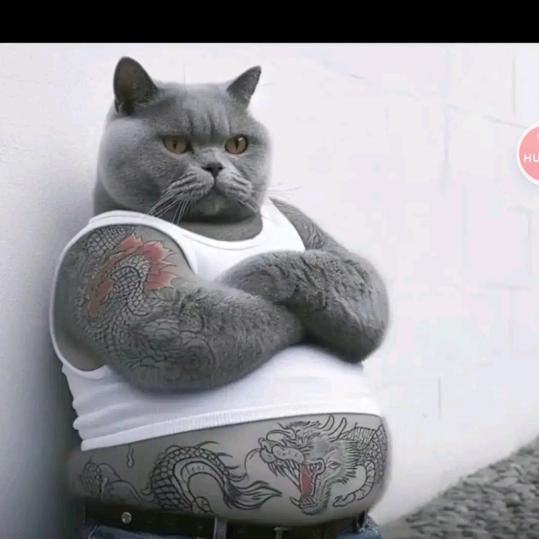 大内密探零零发