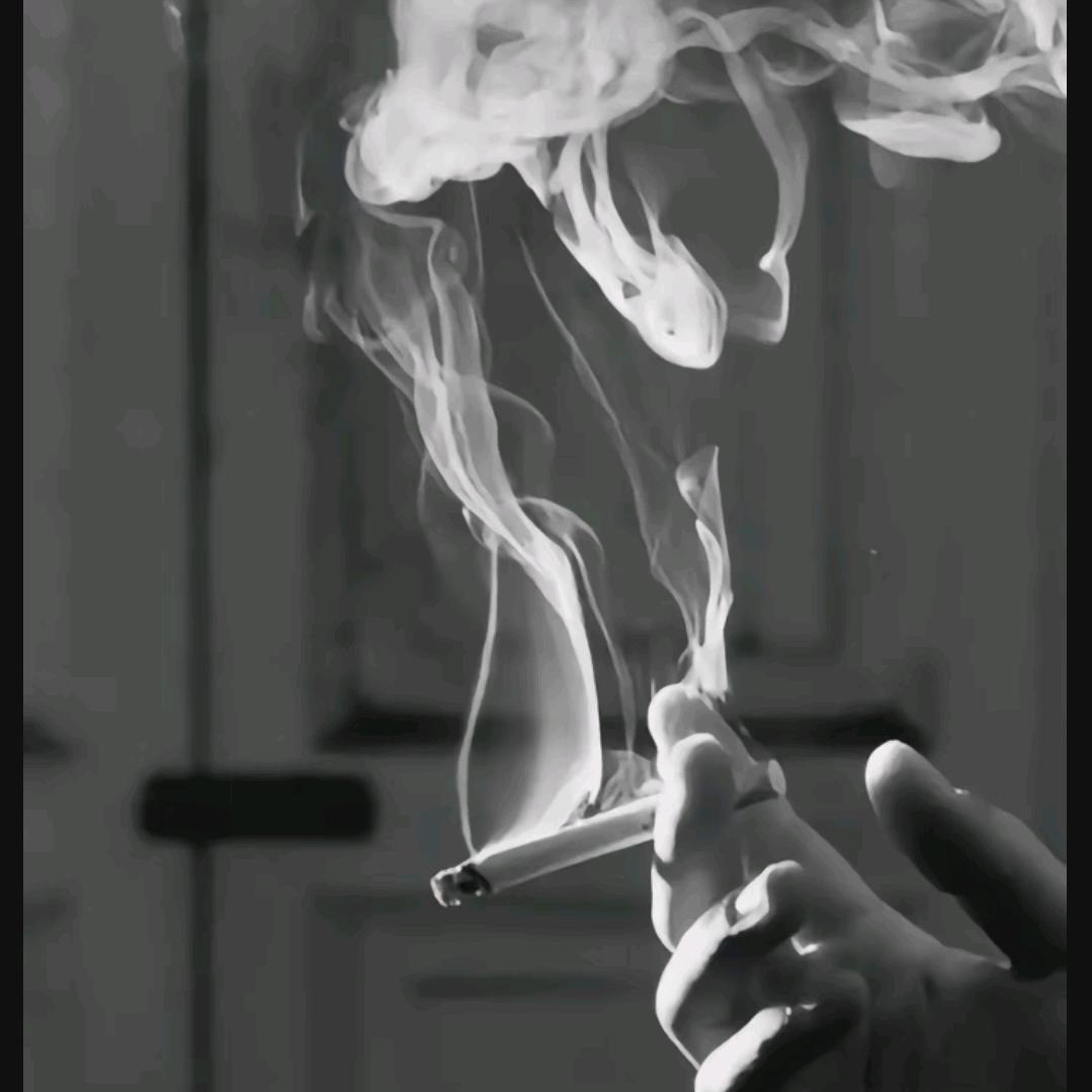 ☞十一☜