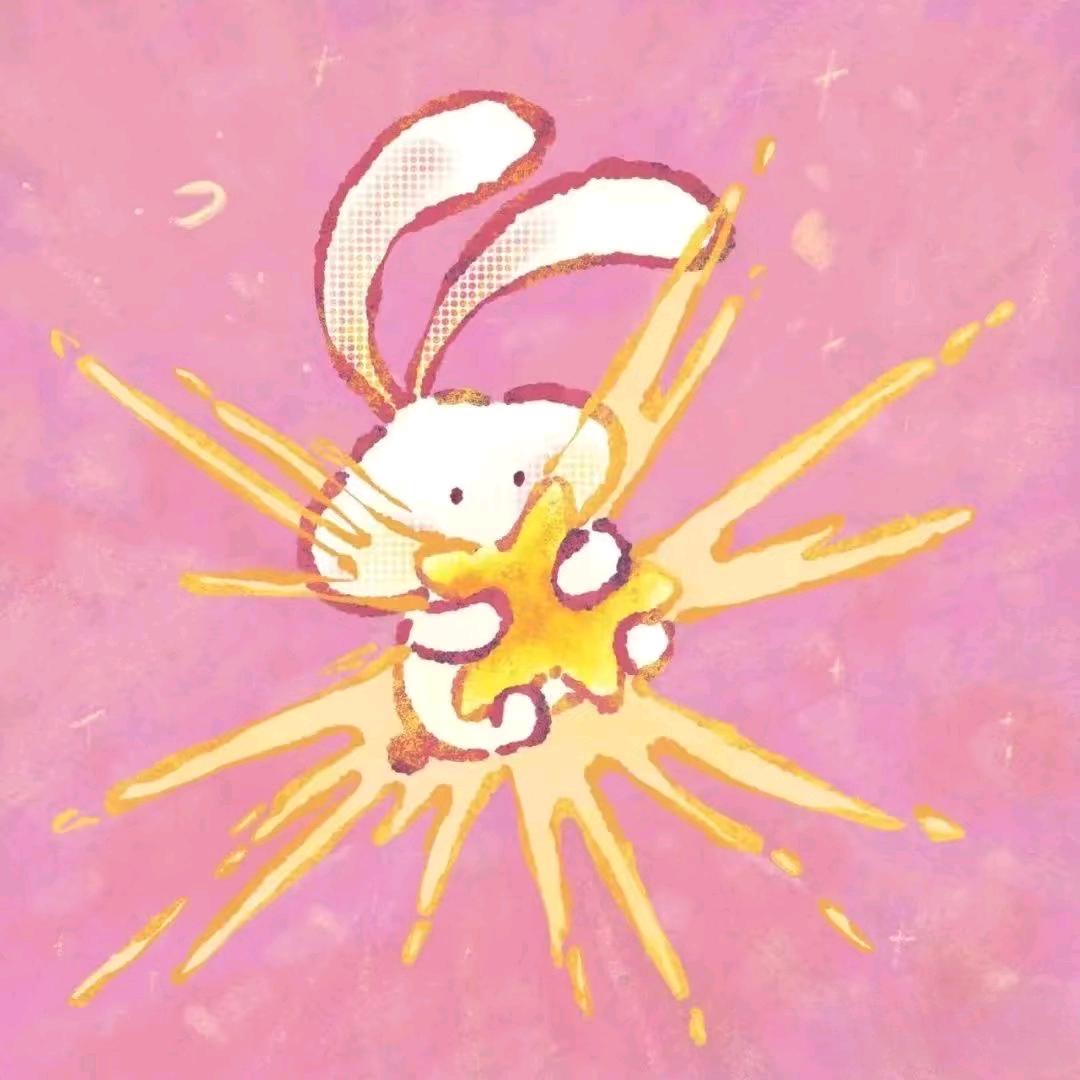 ✨揽星💫携好运✨