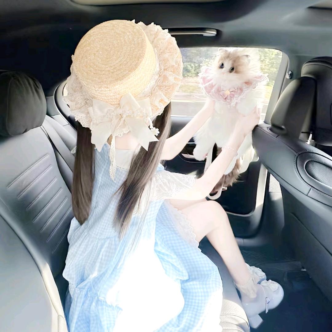 花 萌界一把刀