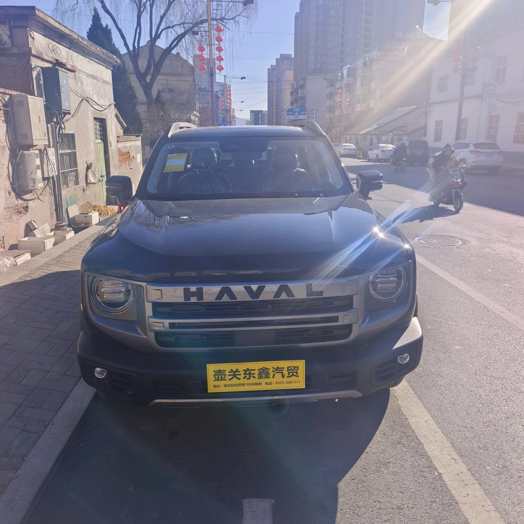 涛涛西红柿种植
