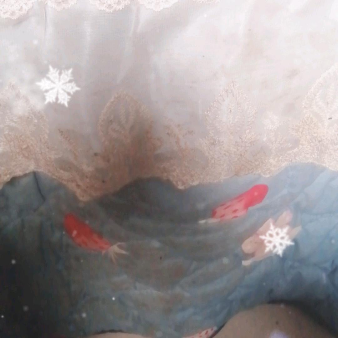 新紅