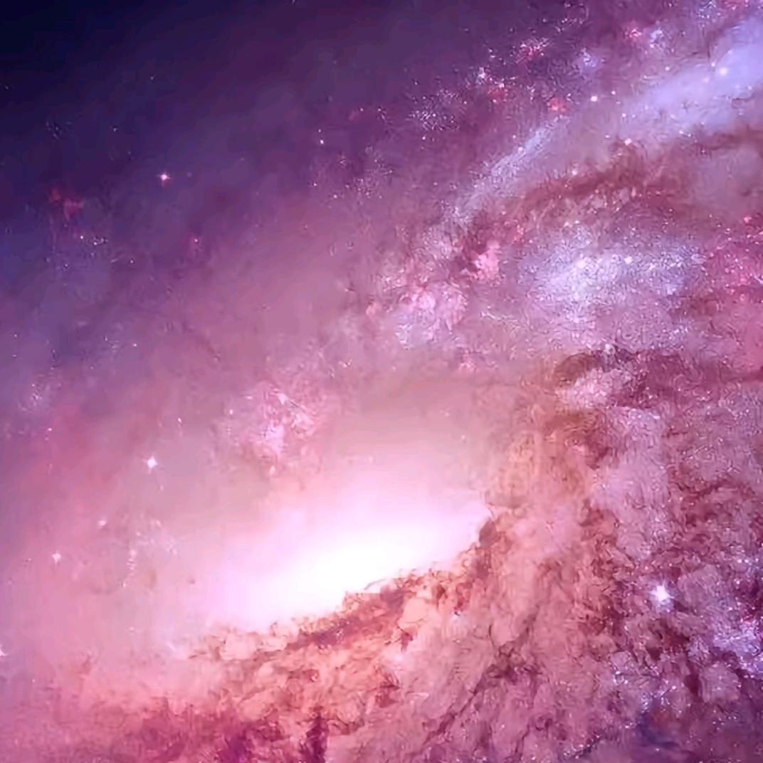 兰儿555（橱窗好物分享）