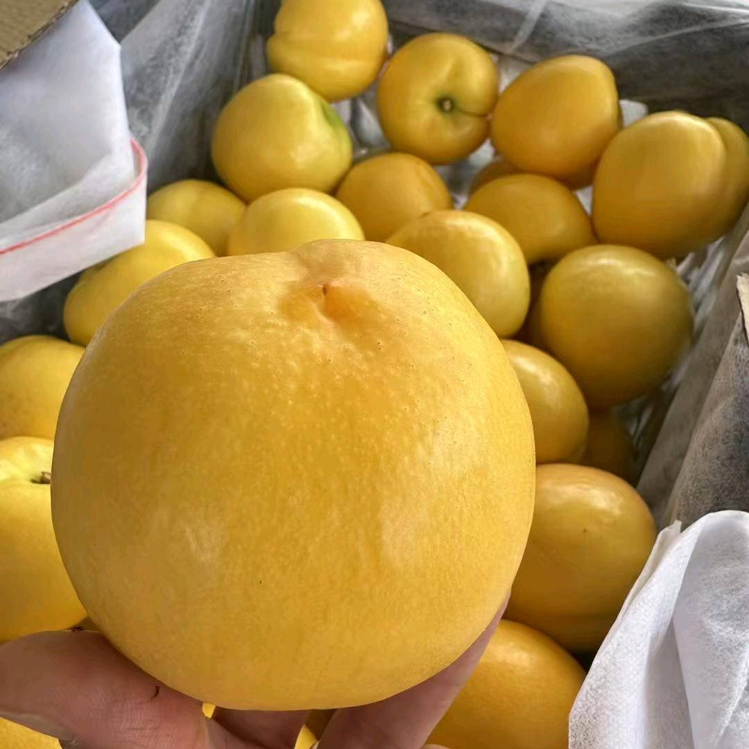 听说糖🍬🍬🍬很甜