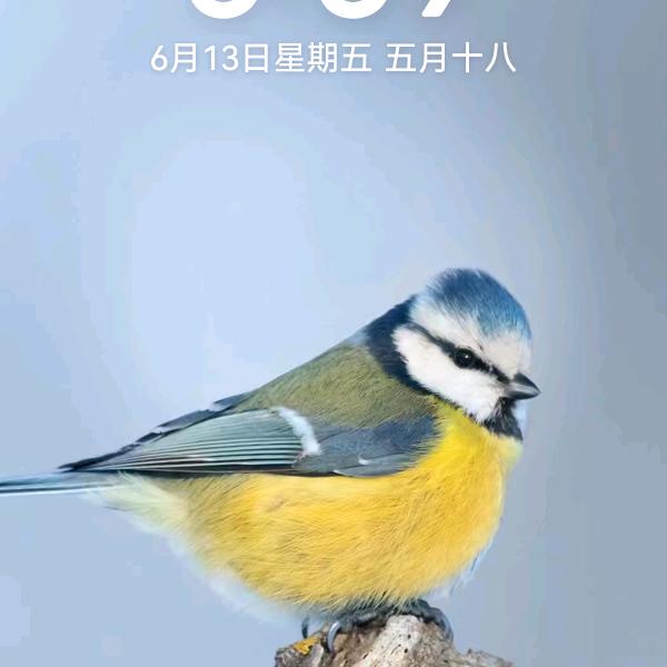 心他杂念