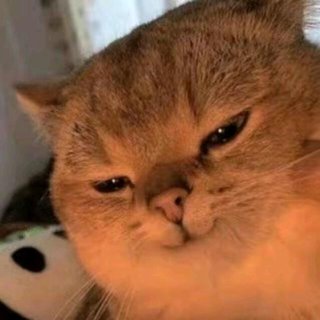 碍事的家伙