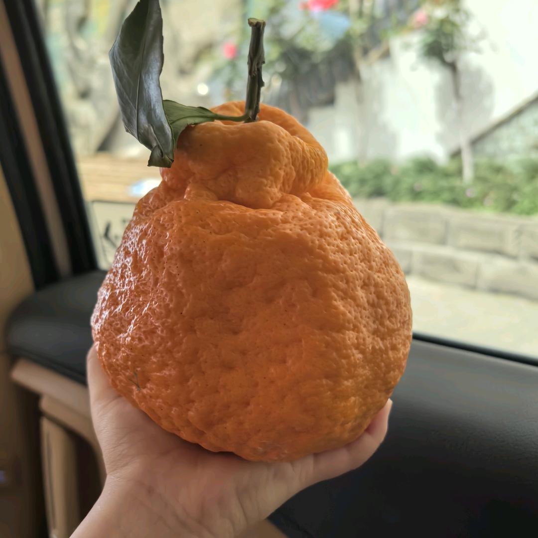 王好好