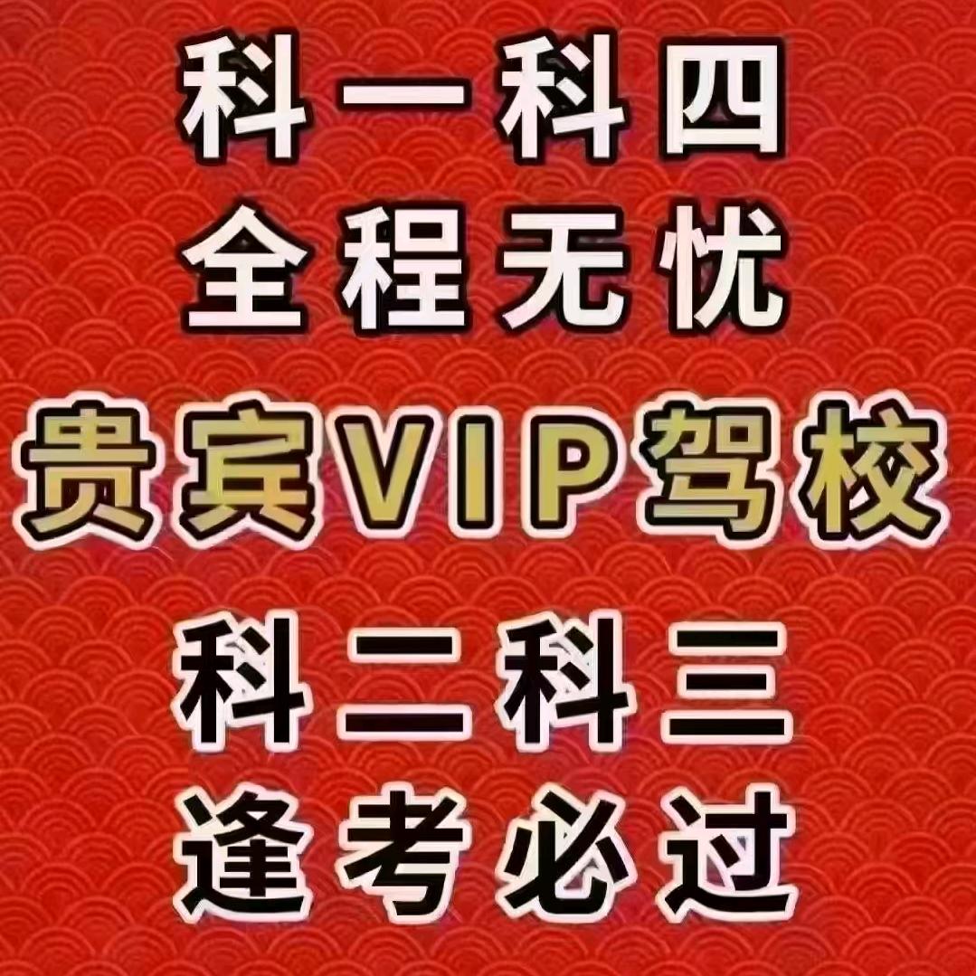 VIP 驾校（科二科三）