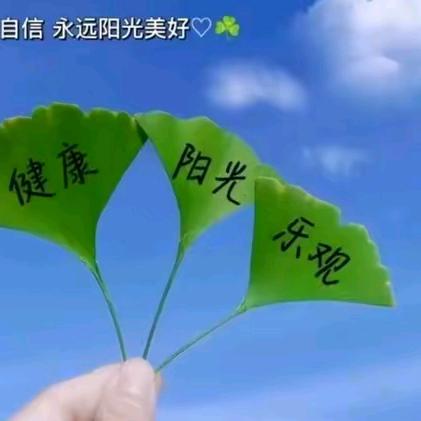 笑看东方188