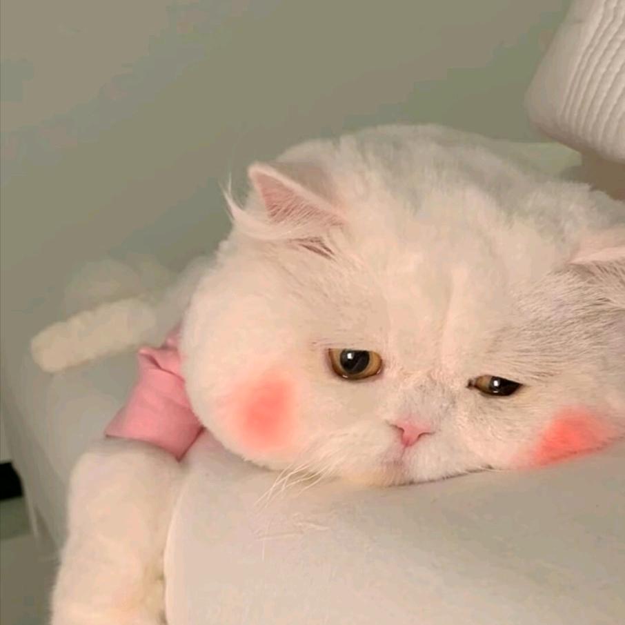 💞꧔ꦿ᭄善待᭄自己💞