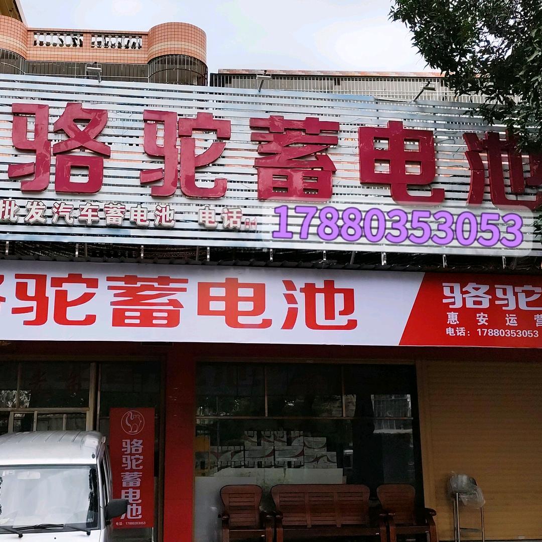 惠安县骆驼蓄电池