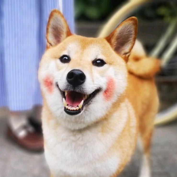 小玩家