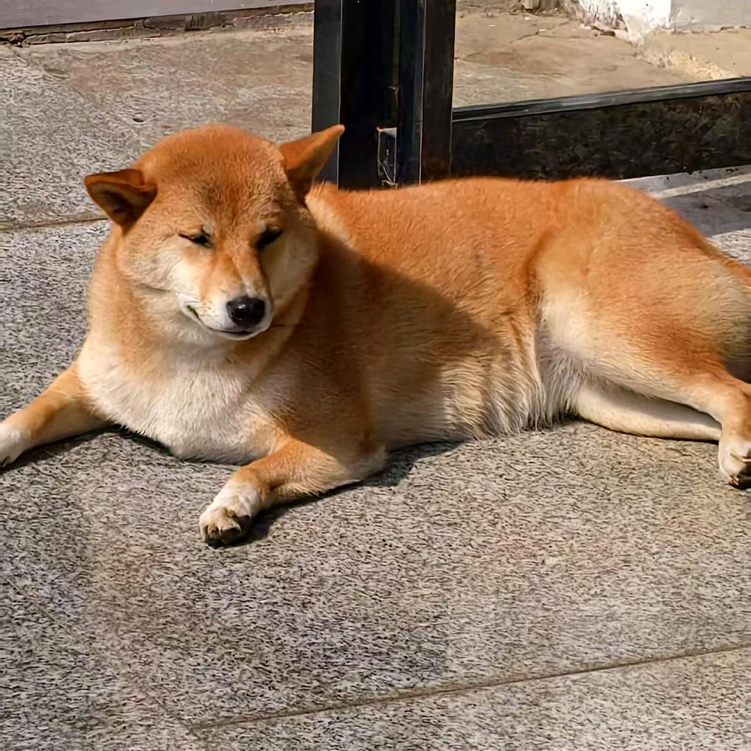 我细心点吧