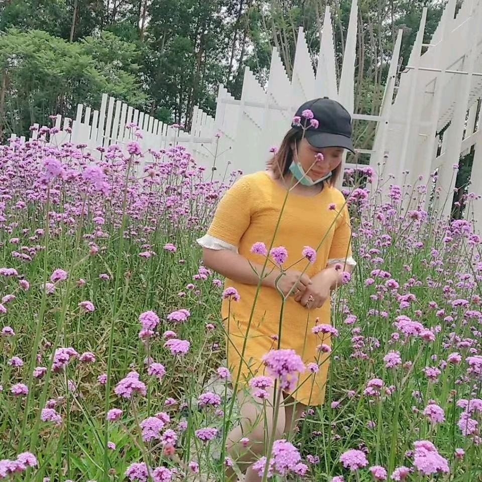 ٩(浪漫星辰˘)💫