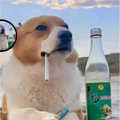 心如死灰