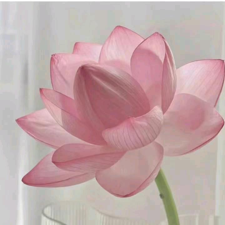 刘春芳