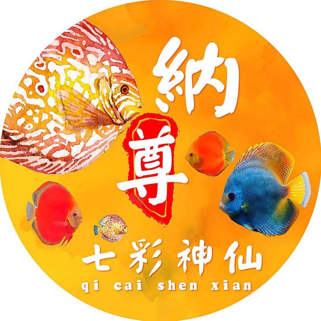 纳尊七彩