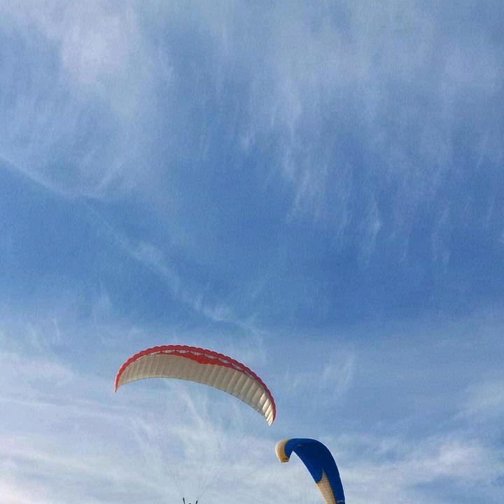 智慧树