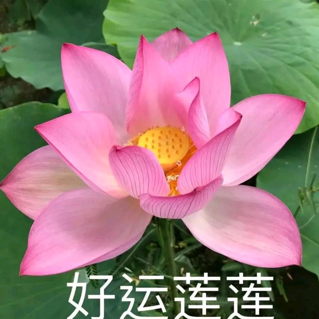 用户1407971858510