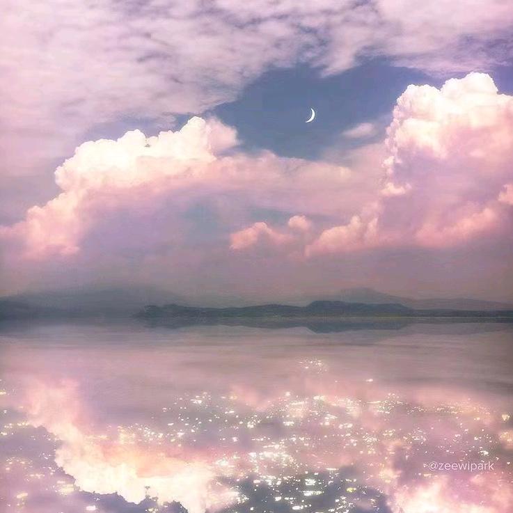 电商，大额坑产