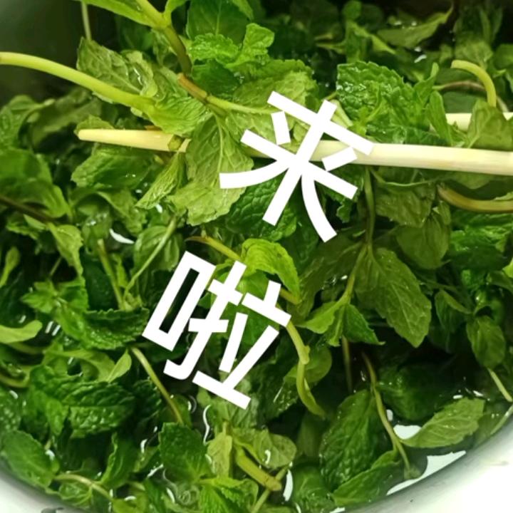 小哈尼皮皮