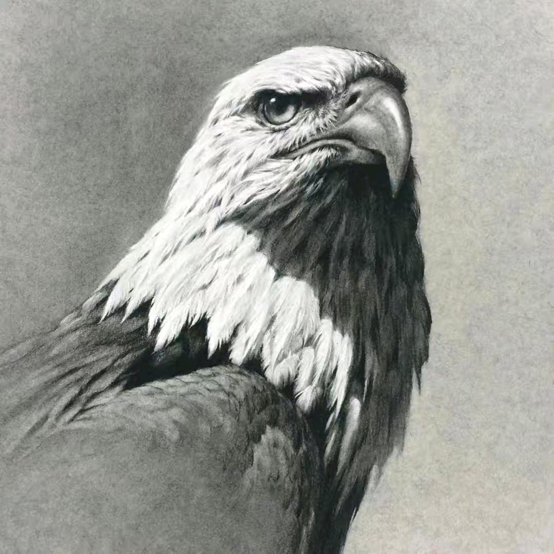 🈚️🈚️🈚️🈚️