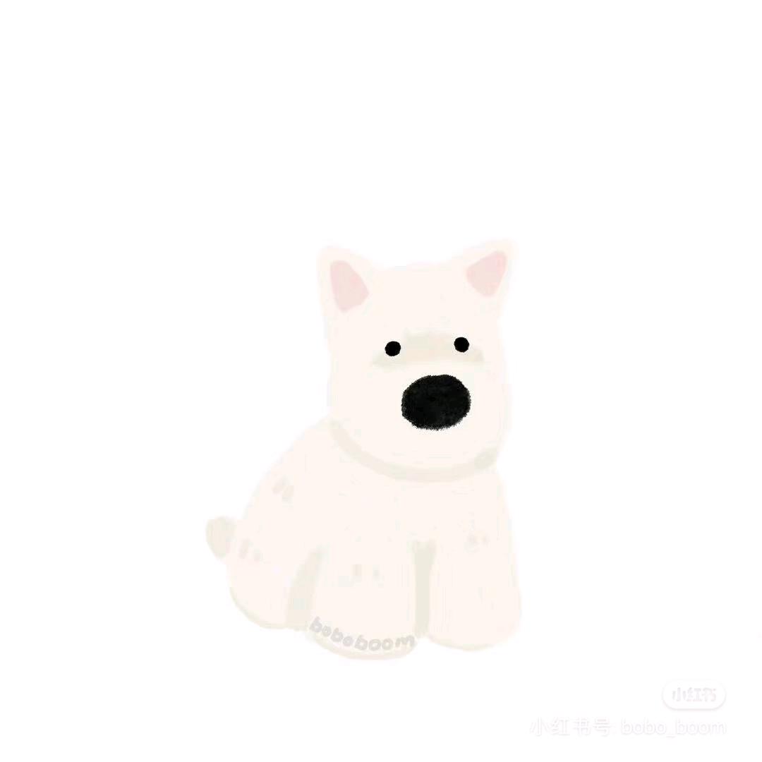 甜崽小杨