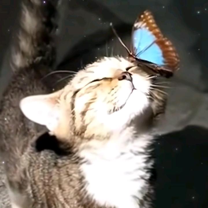 秋意浓