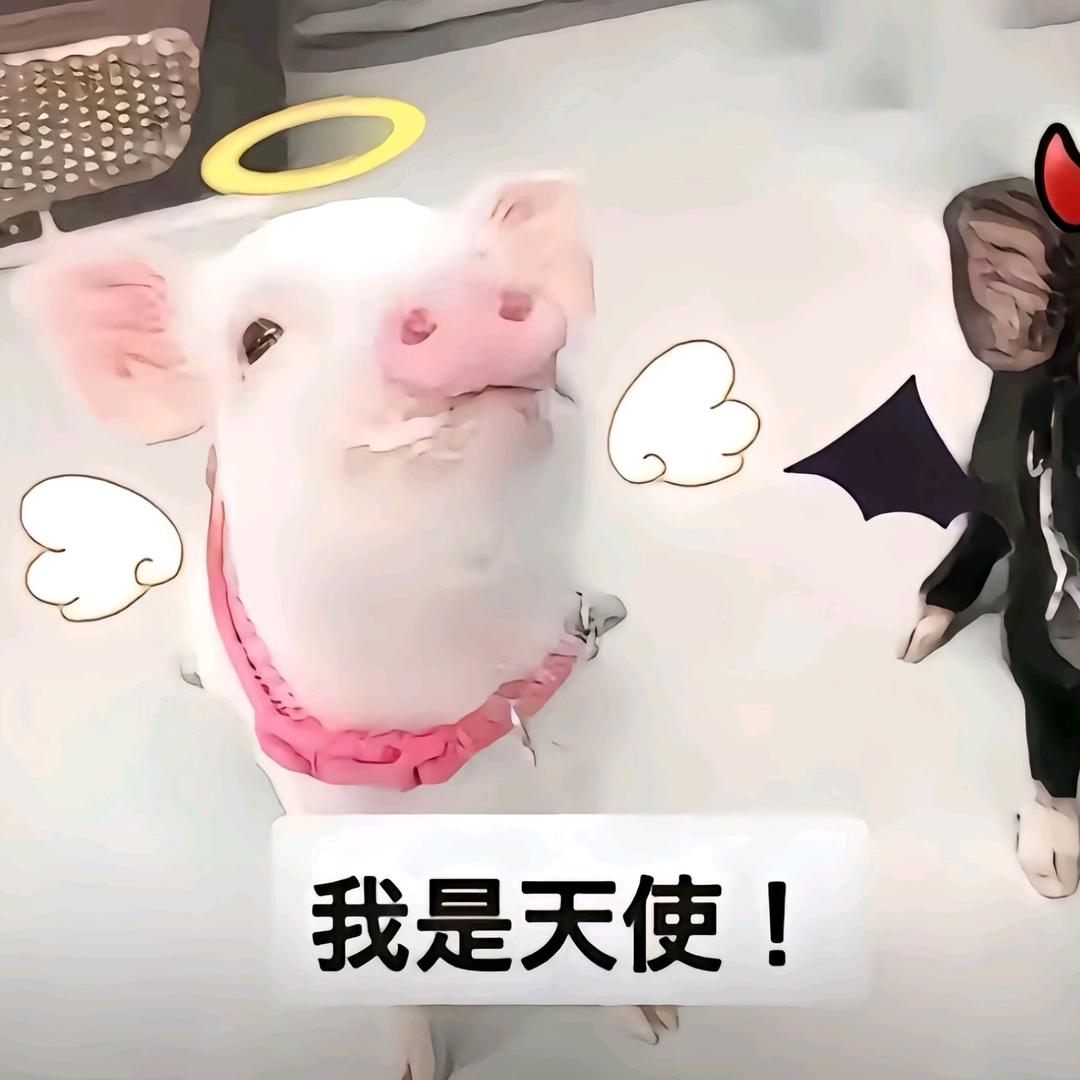 许愿