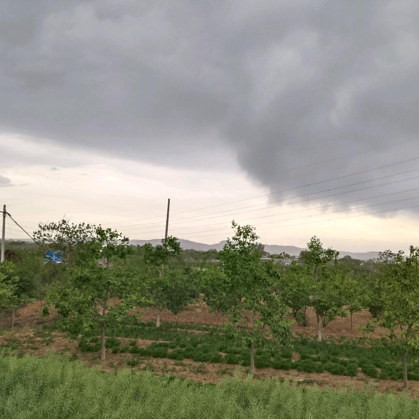 向明sd