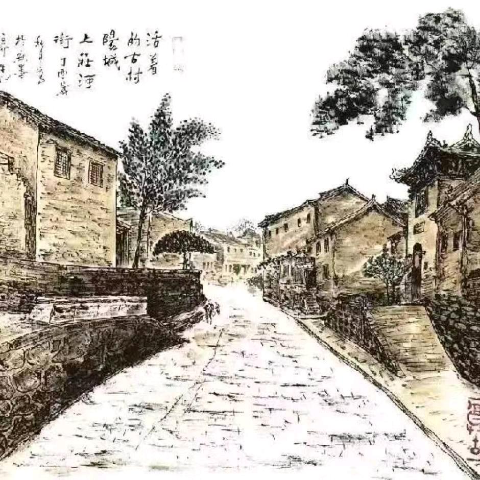 平凡亦有光
