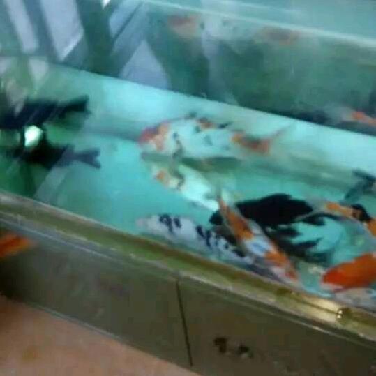 永远是我