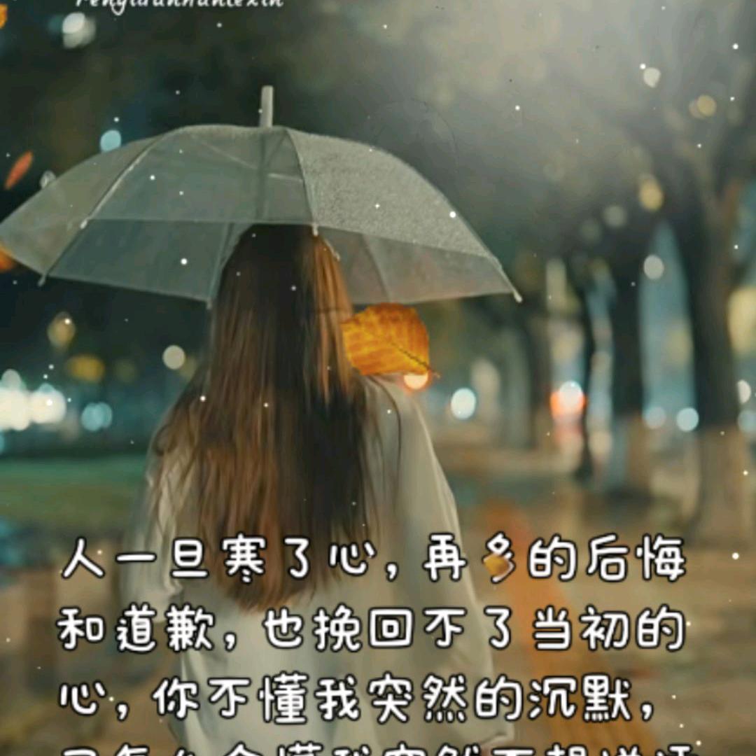 @贝果