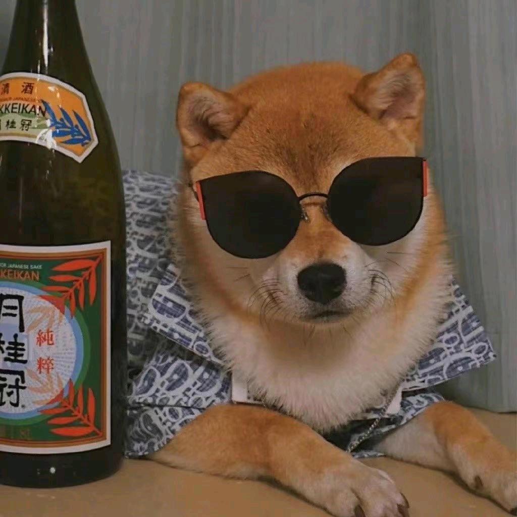 半岛.