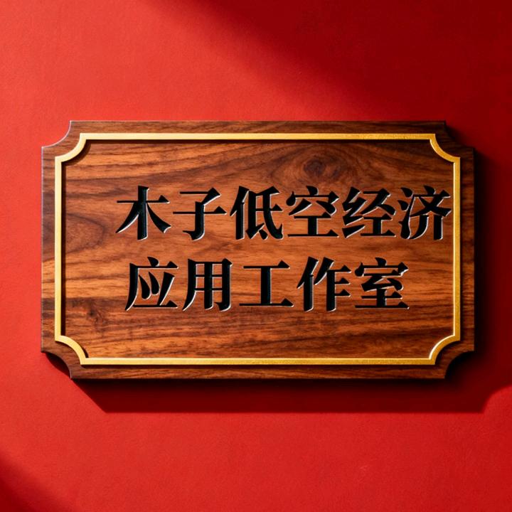 木子低空经济应用工作室