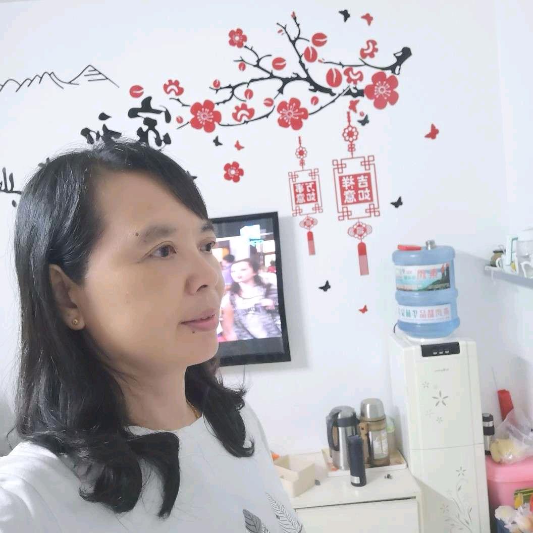 海鸥