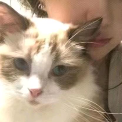 然i晴