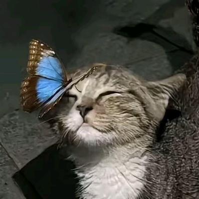 慕容
