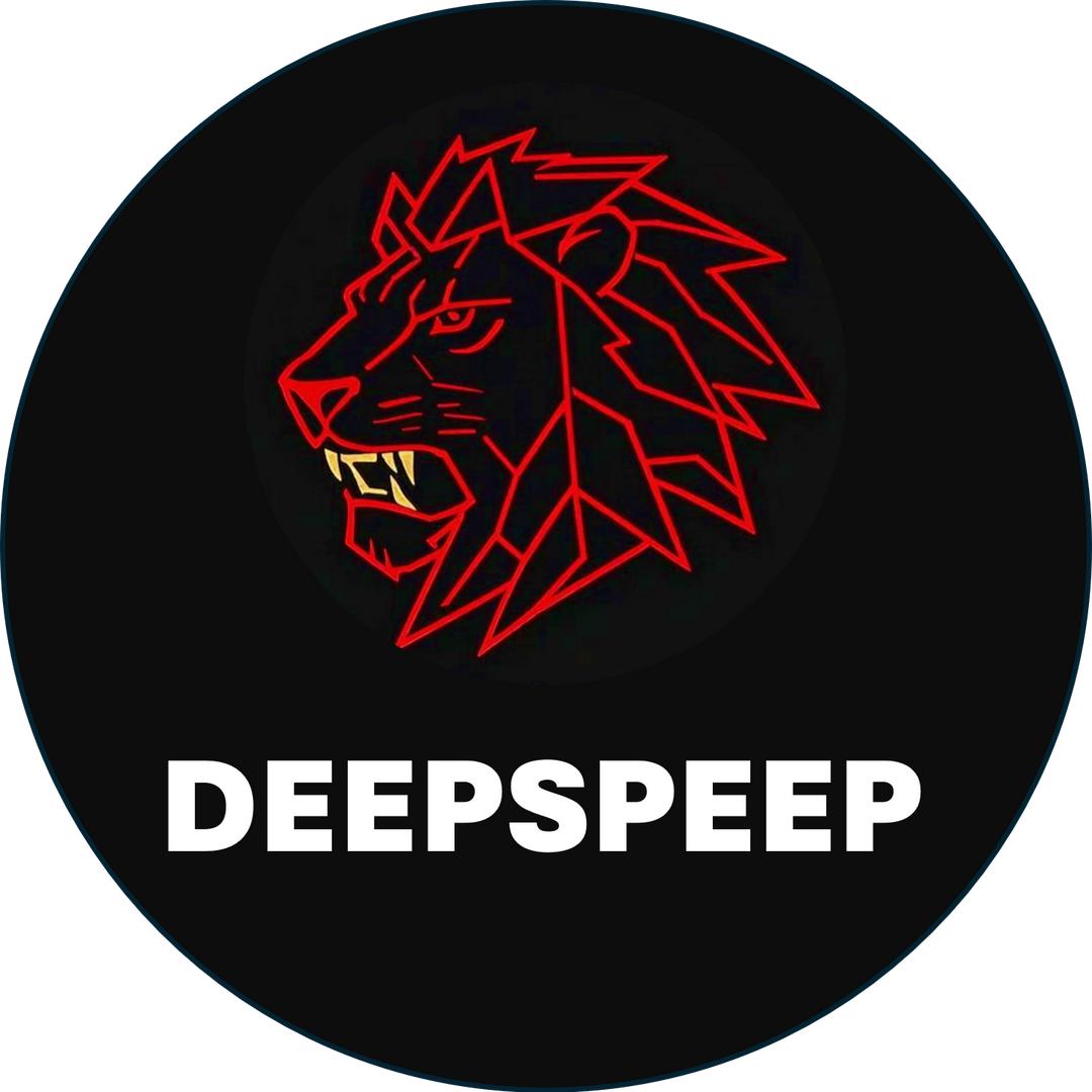 DEEPSPEED