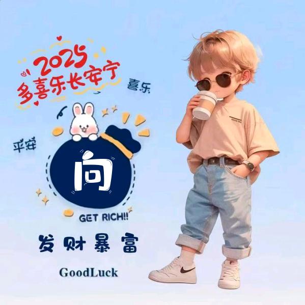 向飞飞✨