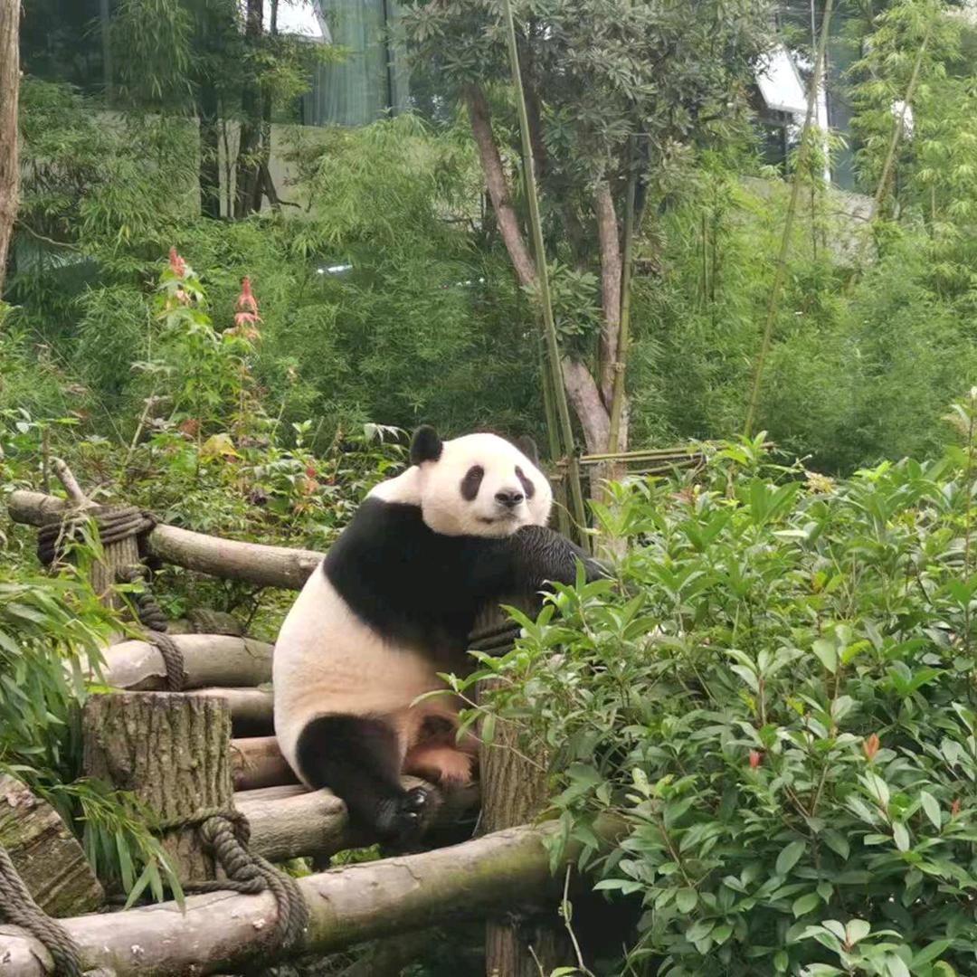 兄弟