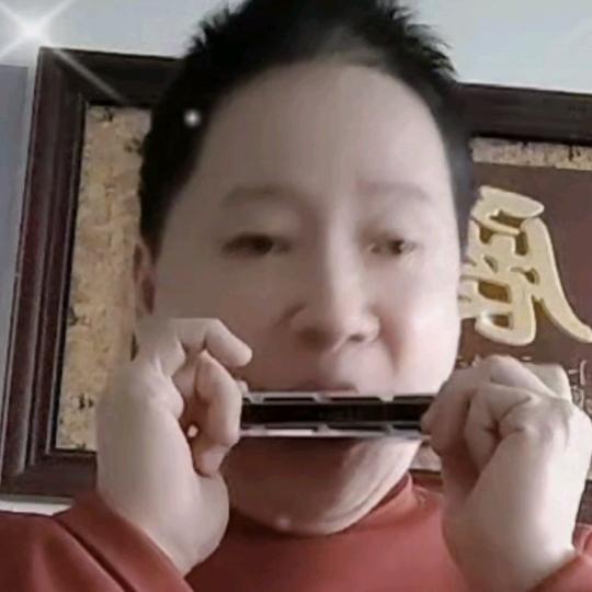 口琴金华吴老师