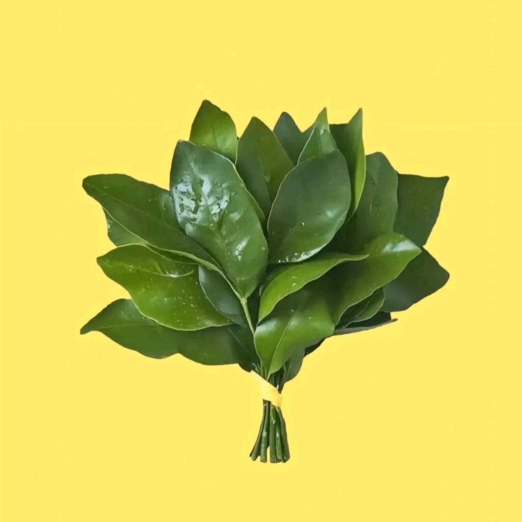 蜡笔胖新