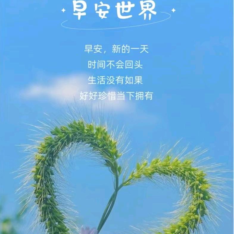 深夜的烟凌晨的酒🎇