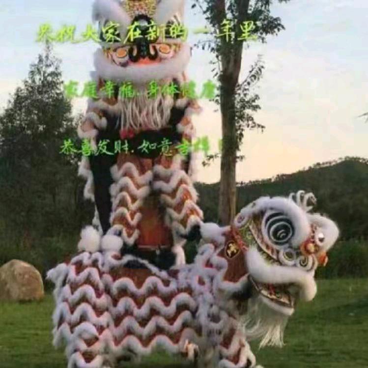 A深圳金聖堂龙狮体育会